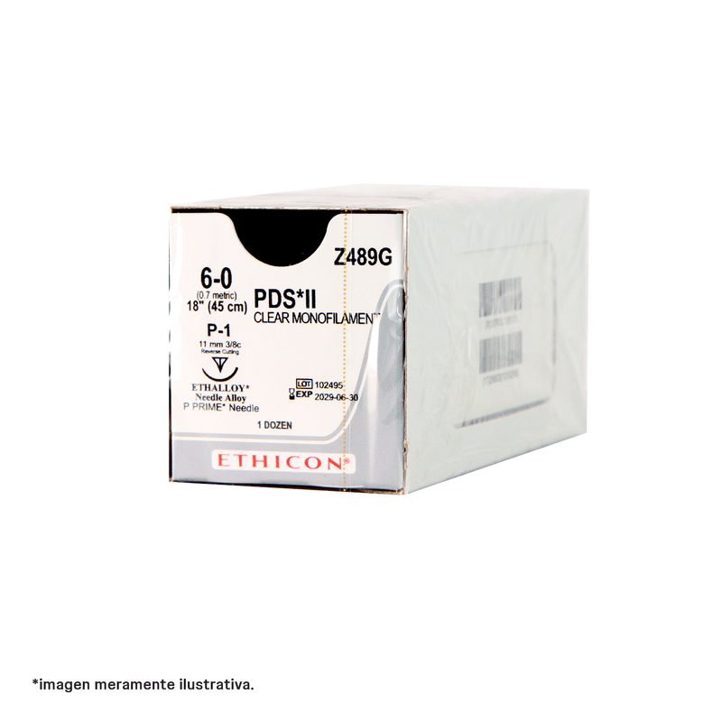 19.--Z489G